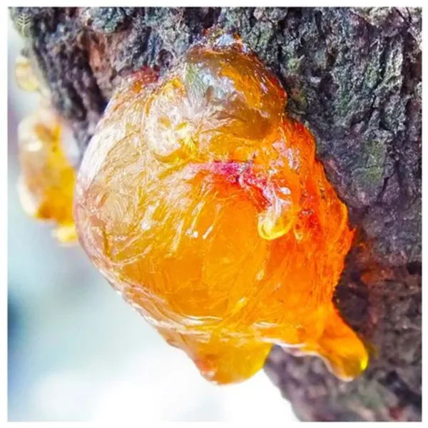 Incienso de Resina de Frankincienso Orgánico✨ - Imagen 3